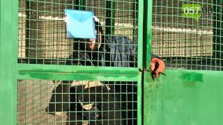 Как в харьковском приюте для животных готовятся к зиме Как в харьковском приюте для животных готовятся к зиме