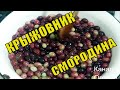 Желированное варенье из смородины и крыжовника | невероятно вкусная заготовка на зиму.