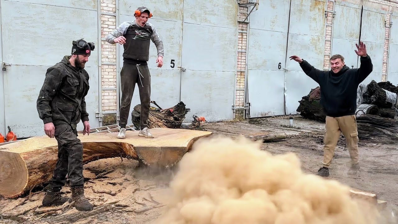 Неожиданный выстрел во время распиловки