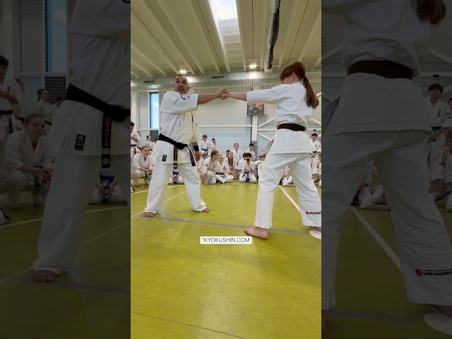 Baltic Fighting Camp 2026 #kyokushin #shinkyokushin #karate #1kyokushin #一極真 #極真会館