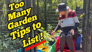 MANY Gardening Tips as I Plant & Setup My EASY Container Garden Growing Tomatoes Zucchini Cucumbers