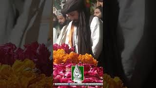 Allama Saad Hussain Rizvi Urs Ghazi Ilam Ud Din Shaheed Rizvi Network
