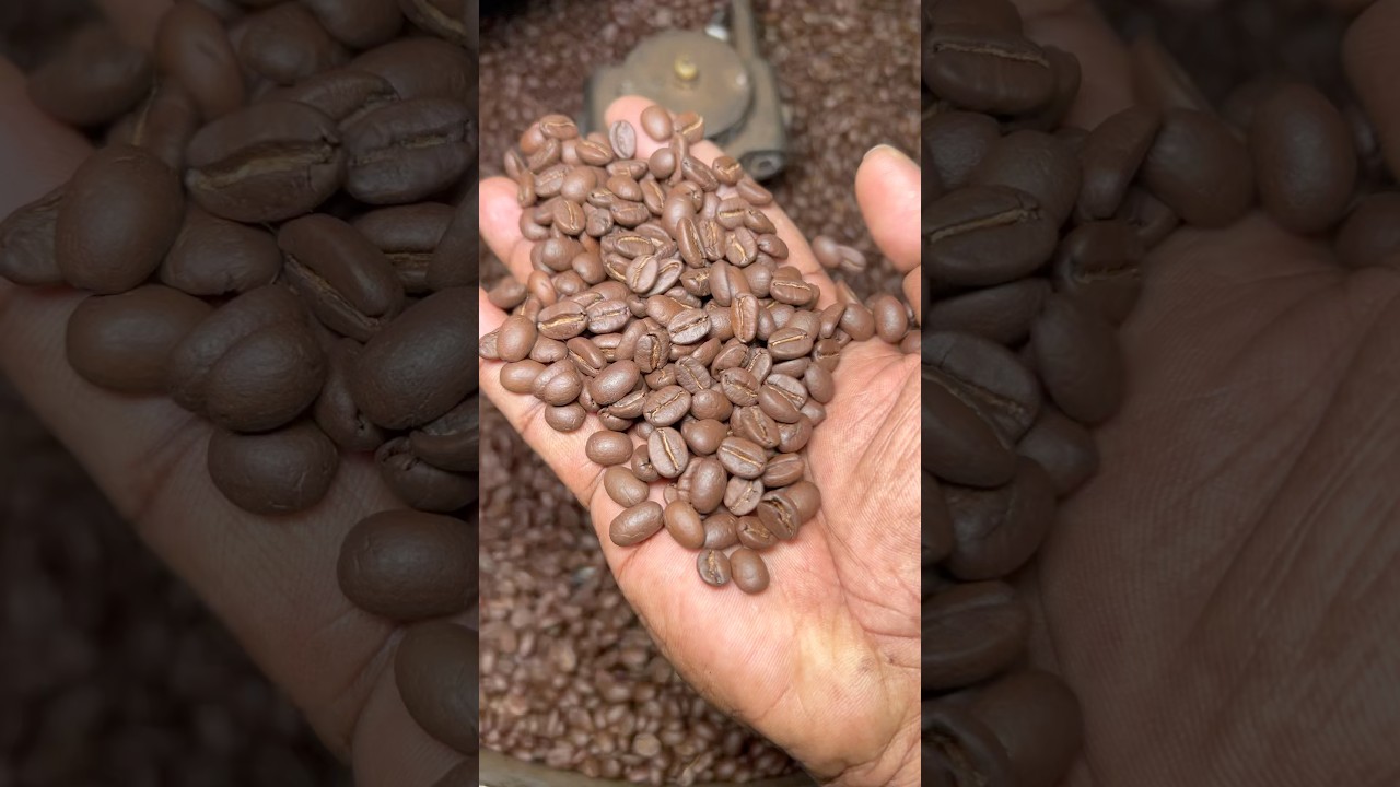 Fresh coffee beans 