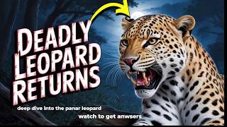 join me as deep dive into the leopard that changed history forever| The Panar Leopard Story P2