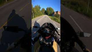 Deer Quickly Crosses a Road and Barely Avoids Collision With a Biker