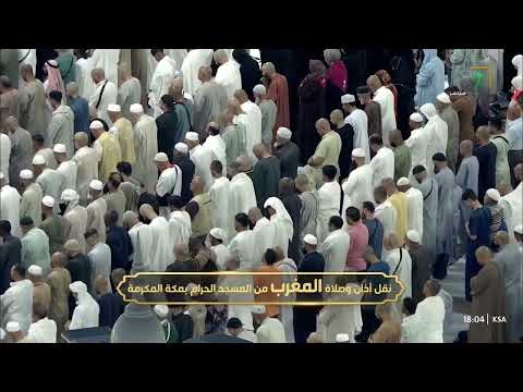 صلاة المغرب ليوم ١١-٥-١٤٤٨هـ لفضيلة الشيخ #الوليد_الشمسان