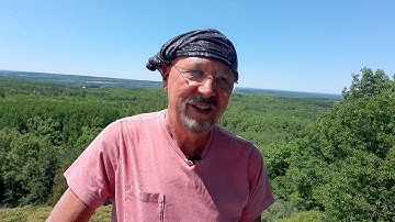 Introduction to Forest Bathing 4 minutes