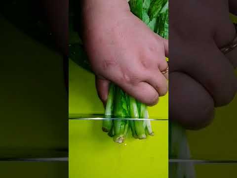 ASMR Sounds Cutting
