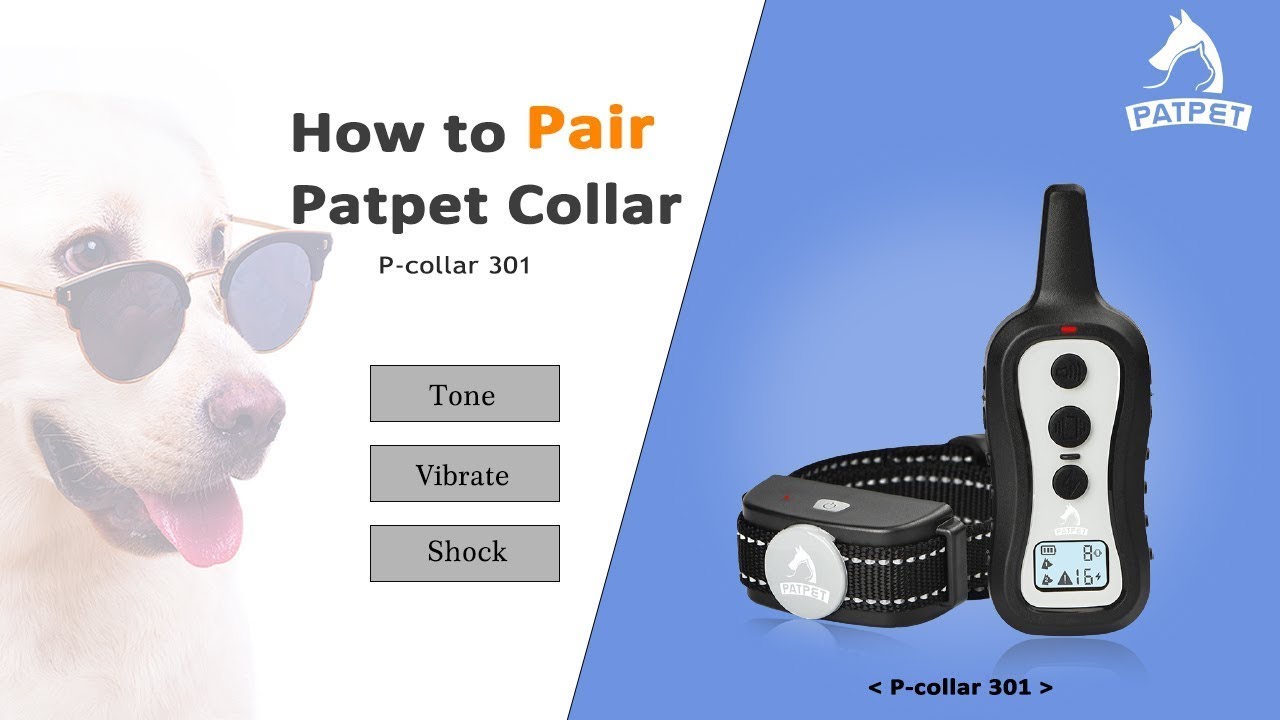 Pair the Dog Training Collar | Patpet 301 - YouTube