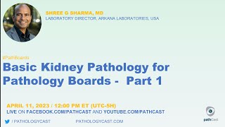 #PATHBOARDS  Basic Kidney Pathology for Pathology Boards - Part 1 screenshot 1