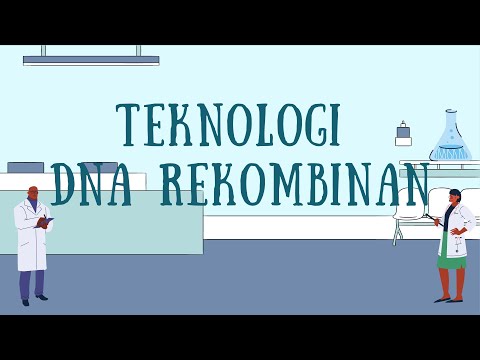 TEKNOLOGI DNA REKOMBINAN