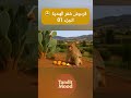 يشوفك ل مق د م تاكلها يحايدو لك الدعم