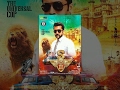 Singam 3 Tamil Full Movie