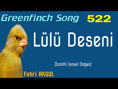 Greenfinch Song 522 - Lülü deseninde kurbağa (stelyo makarasının bir tık benzeri)