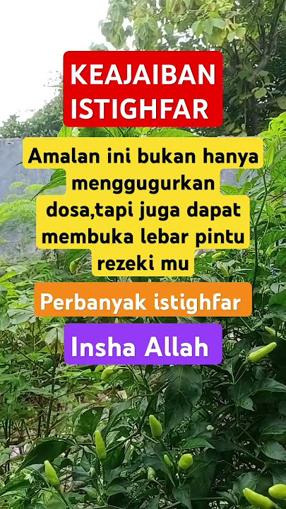 Perbanyak istighfar #quotes #sholawat #motivasi #shorts