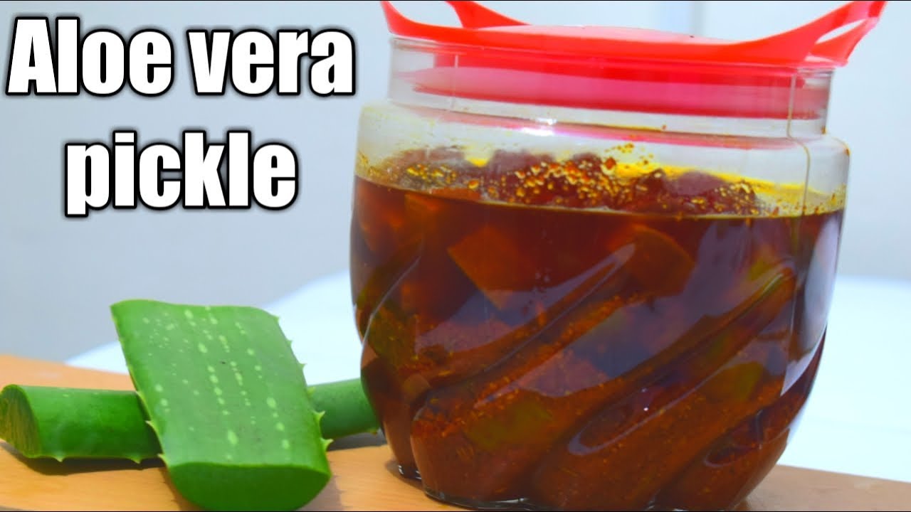 Sind Fuchsien Winterhart Ja Und Nein 5 Geeignete