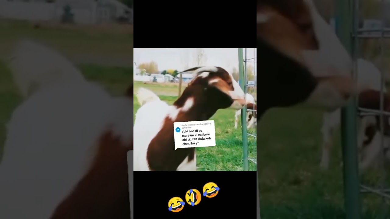 Maryam name funny video