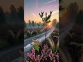 #nature #ambient #ambientmusic #sunsetambience #relax #relaxing #relaxingmusic