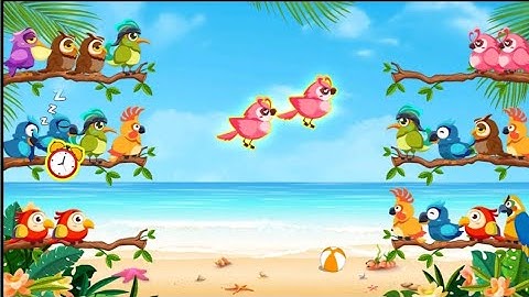 Tony Birds Gameplay Bird Sort: Color Puzzle Game