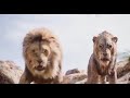 Simba’s Revenge Finally Began#movieedits