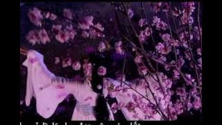 [FMV] Mỹ Nhân Tâm Kế 美人心计 - Hoa Rơi (Lâm Tâm Như)