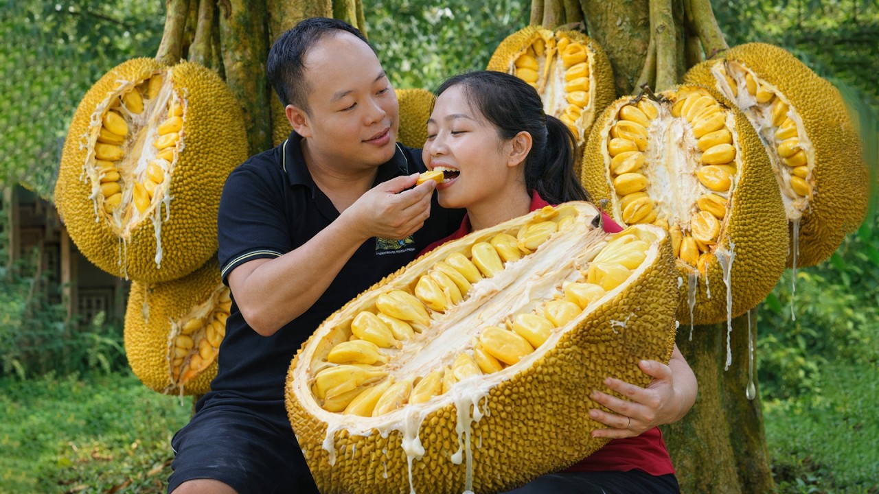 Harvesting giant jackfruit to sell at the market, taking care of chickens and ducks with my wife