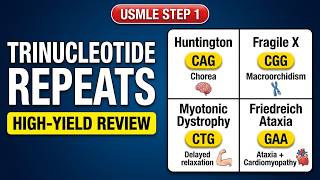 Master Trinucleotide Repeats: High-Yield USMLE Review