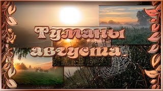 Project ProShow producer / Туманы августа /