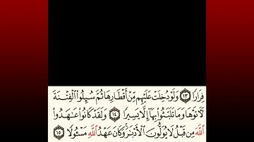 TAFSIIRKA:◇:سورة الأحزاب من١٤-١٧:◇:SH:-MAXAMAD CABDI UMAL حفظه الله