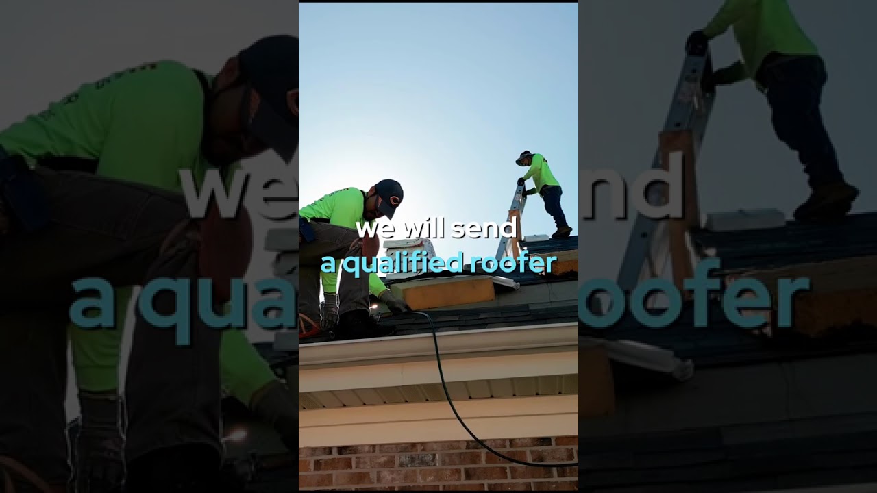 DH1 Best construction Company in seattle area