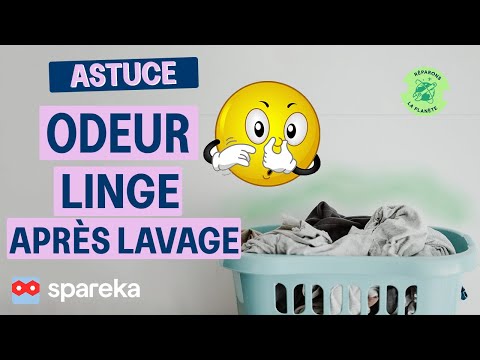 Vidéo: Pourquoi Vous Ne Pouvez Pas Repasser Le Linge De Lit Après Le Lavage