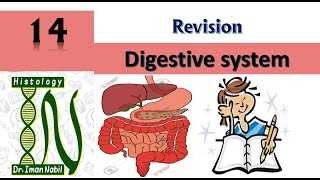 GIT revision-Histology