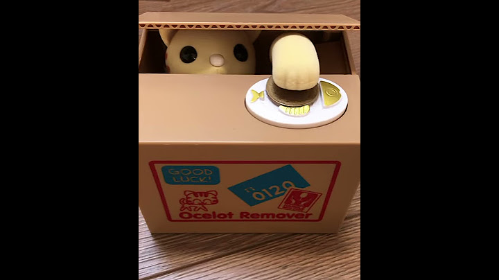 Kedi kumbara