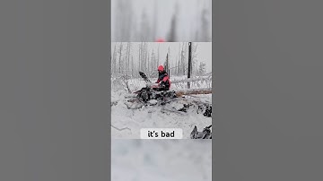 Burn the tree as revenge 😂#crash #snowmobile #shorts #fails #scary