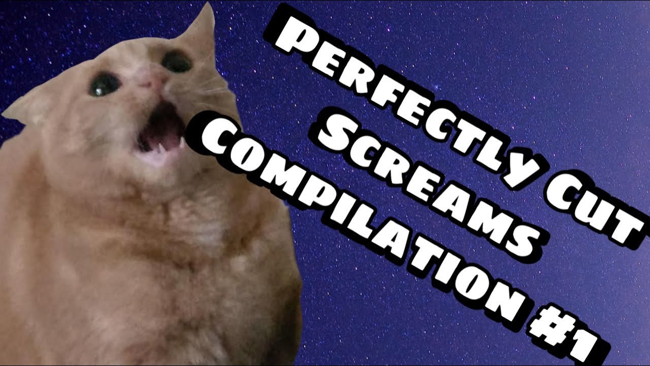 Perfectly Cut Screams! Compilation 1 YouTube