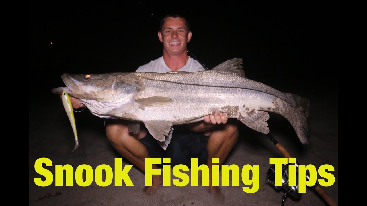 deep blue sea 3 Best Time of Year to Target Giant Snook! ft. Ben Begovic
