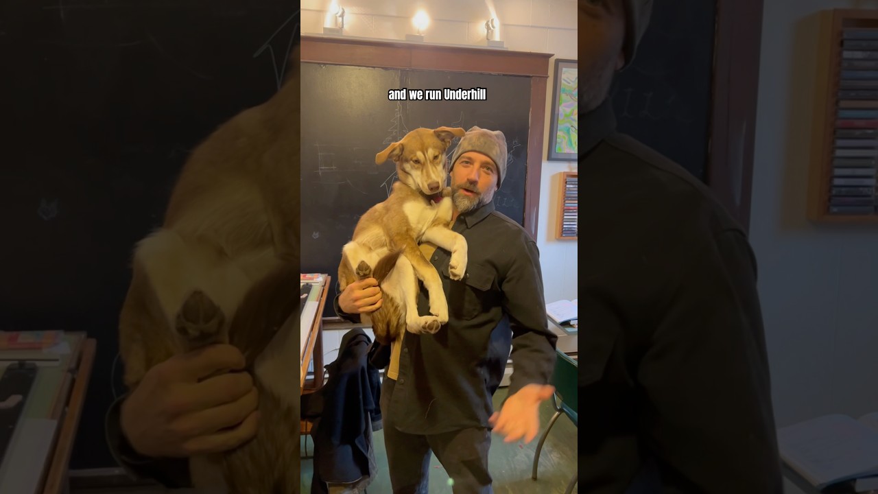 Mike and Hanzee are good 