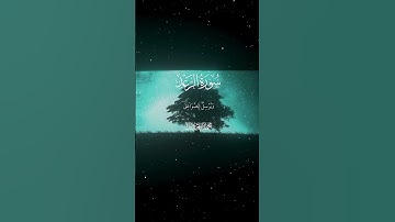 تلاوة ندية تريح القلب 🌹🌺