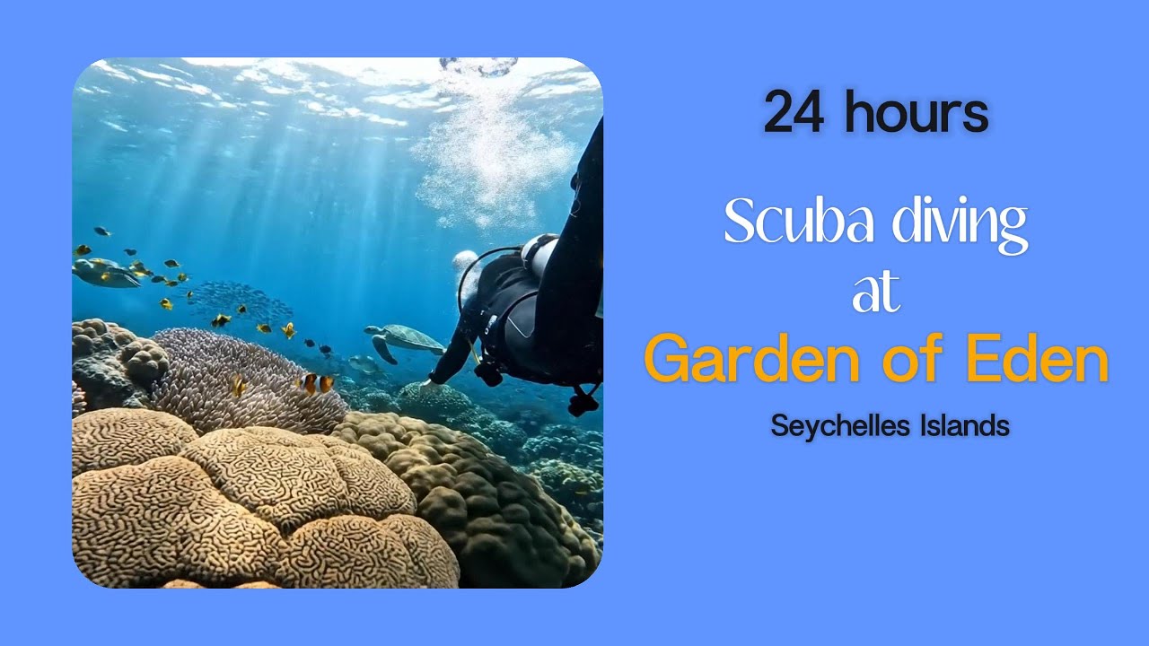 24 hours of diving at the Garden of Eden (Seychelles Islands) pristine beauty and a unique ecosystem