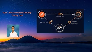 Pynt - API Automated Security Testing Tool using Postman