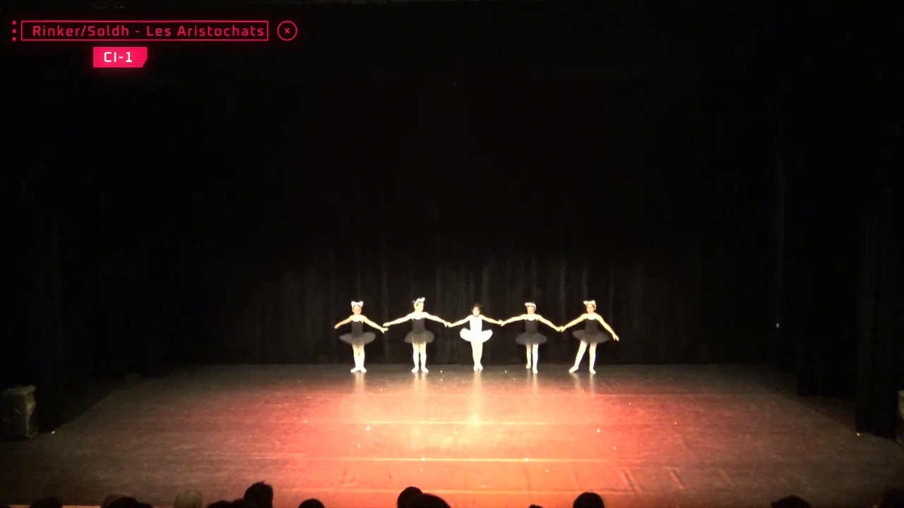 16 CI 1 Les Aristochats