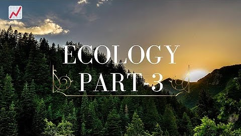 Functions of an ecosystem part-1 for #BSc and #MSc#other competitive exams through #ppt presentation