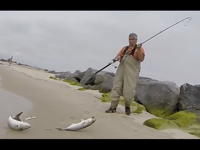 Jones Beach Inlet Bluefish Surf Shore Fishing & Fluke Master Bob - Youtube