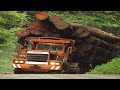 Extreme dangerous biggest wood logging truck operator skill amazing heavy equipment truck driving