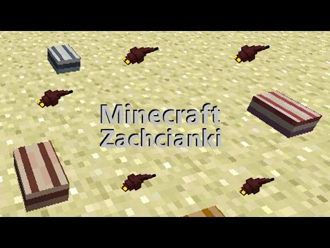 Minecraft Zachcianki: [26]