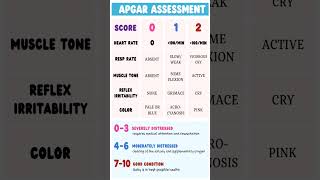 👶 APGAR Assessment Made Easy!..cont 💙#APGAR #NewbornAssessment #NursingNotes #NCLEX