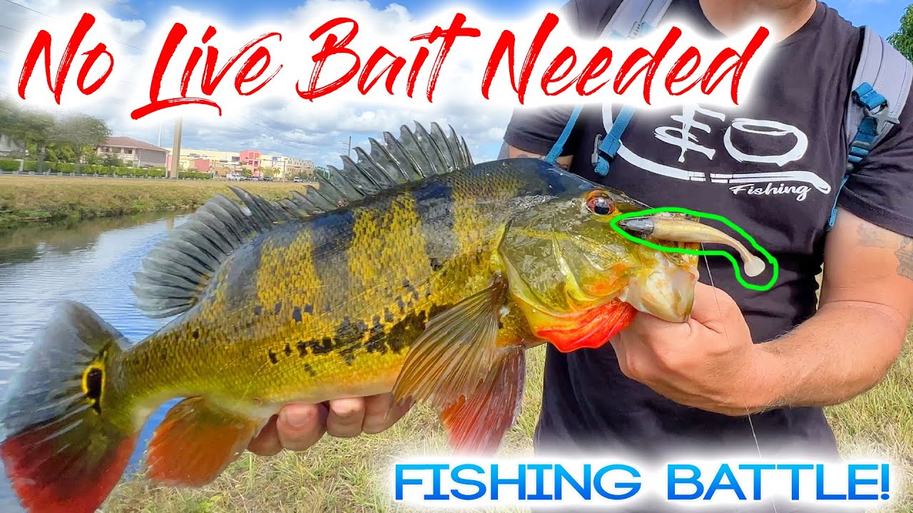 NO LIVE BAIT NEEDED (NLBN) Fishing Battle! Who Will Win? 
