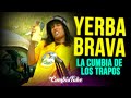 Capture de la vidéo Yerba Brava - La Cumbia De Los Trapos (4K) (Full Hd)