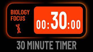 Minimalist Silent 30 Minute Countdown Timer For Biology Focus
