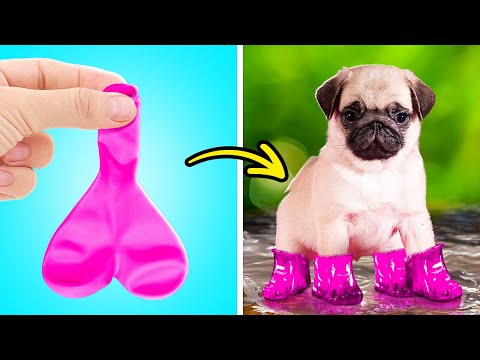 Baloon Boots for a Puppy?😱🦴 Best DIYs and Hacks for Pet Owners